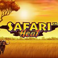 SAFARI HEAT